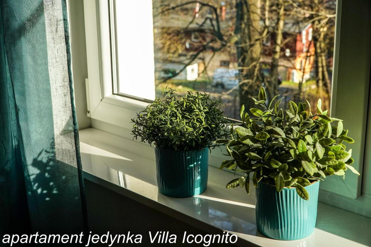 Apartament Jedynka Villa Incognito Szklarska Poreba Luaran gambar
